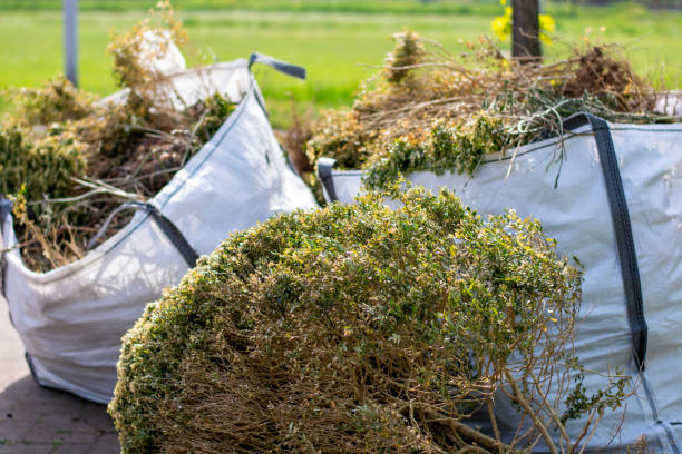 Best Yard Cleanup Services  in Clinton, IA